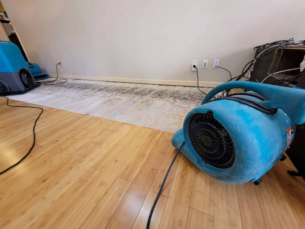 Professional Basement Flood Cleanup technician working in Jacksonville, NC